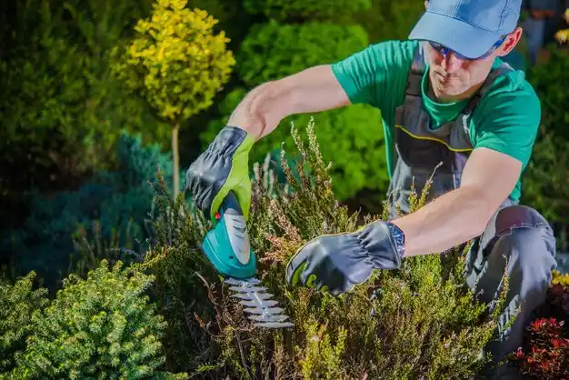 landscaping services Flemingsburg